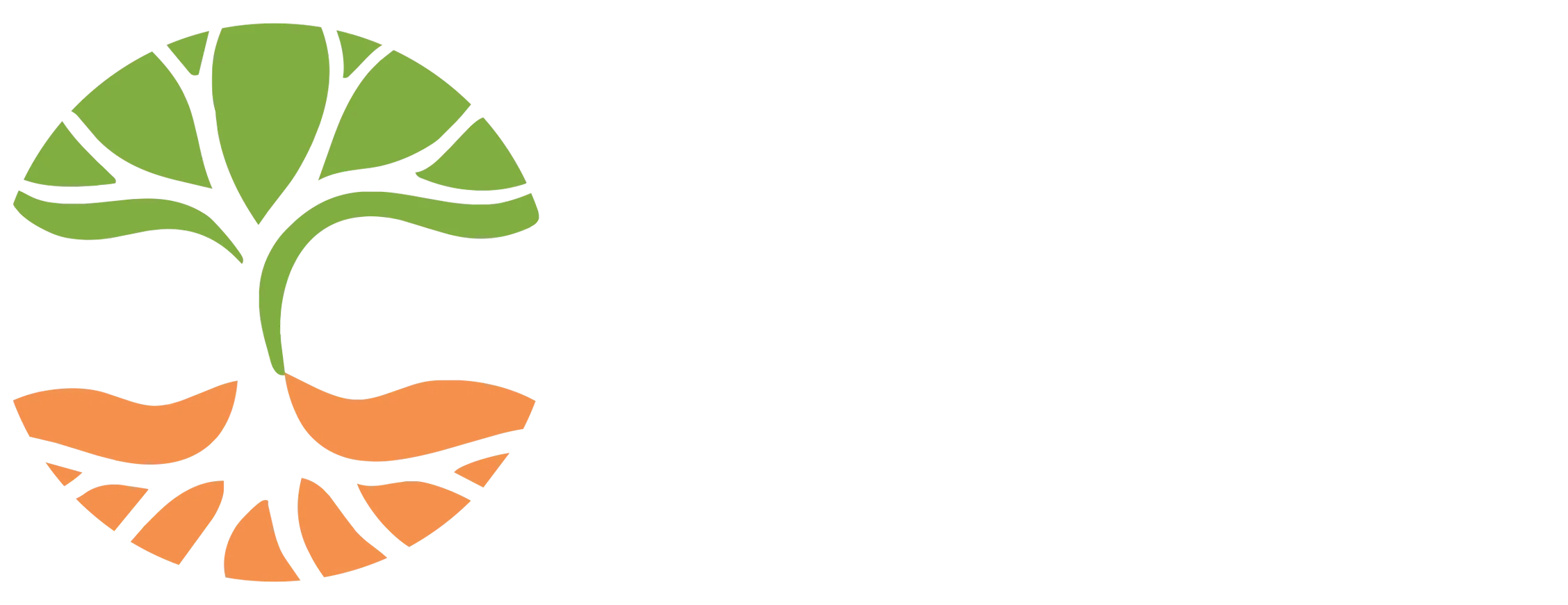 Antracietgrijs